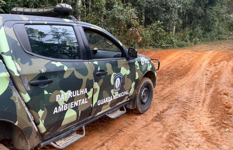 GCM prende homem por crime ambiental em Mogi
