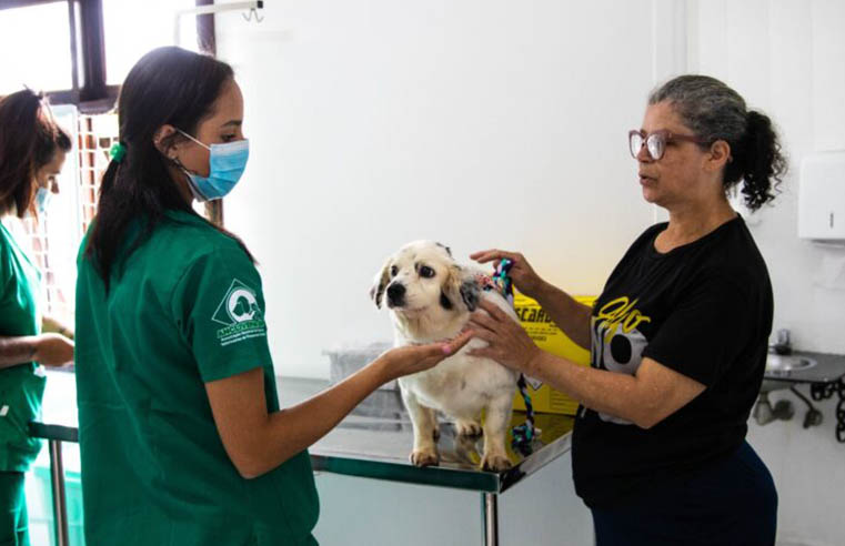 Clínica Veterinária Municipal realiza quase 20 mil procedimentos
