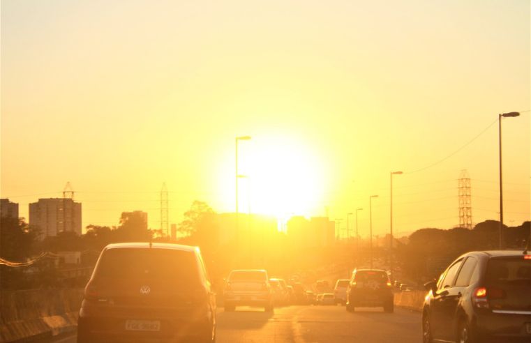 IPVA 2024: consulta já disponível para consulta e pagamento