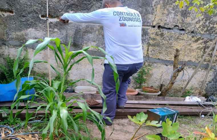 Mogi das Cruzes registra 21 casos de dengue em janeiro