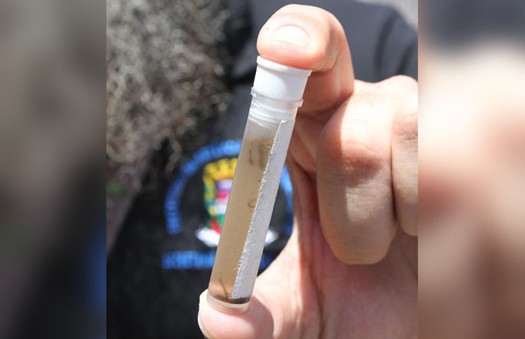 Vigilância em Saúde encontra mais focos de dengue em Poá