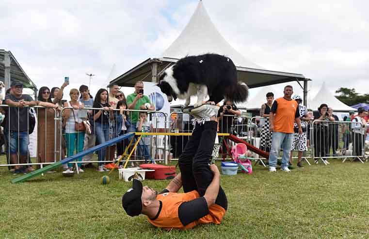 Festcão acontece no domingo em Suzano, junto com adoção