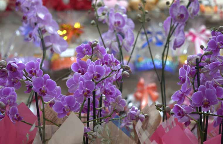 Dia das Mães movimenta comércio de flores de Mogi