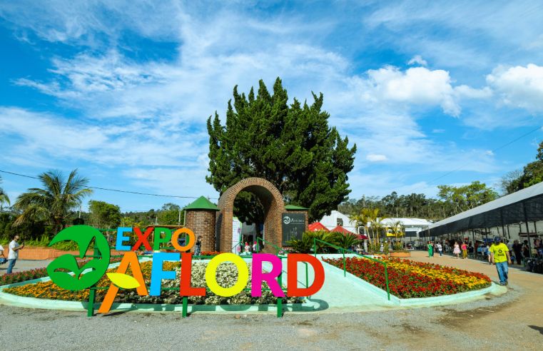 Primaveras do mundo inspiram Festa de Flores de Arujá 2024