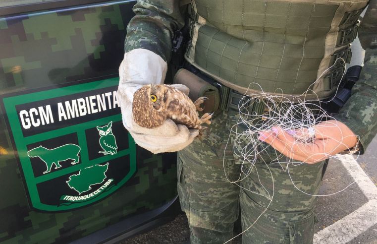 Resgates de animais pela Guarda de Itaquá crescem 40,54%