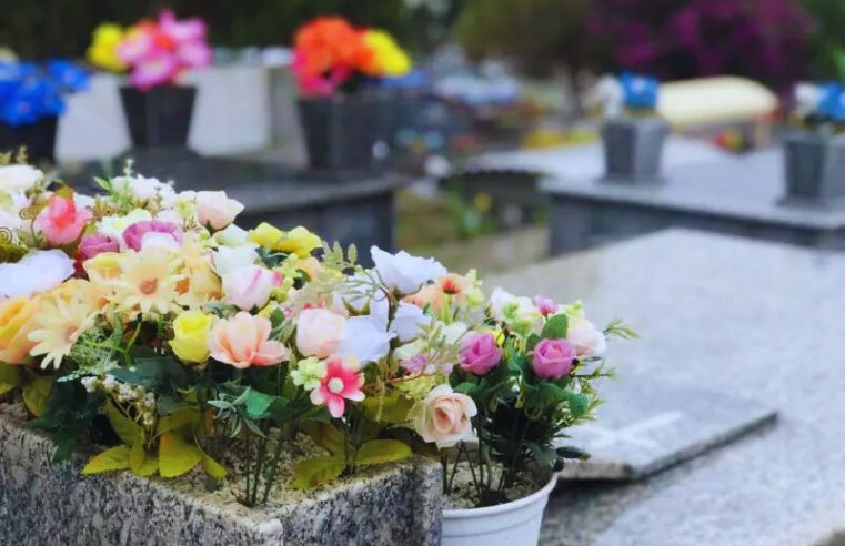 Dengue em Mogi: Saúde reforça cuidados para Dia de Finados