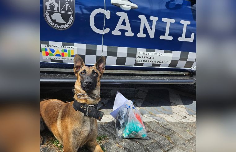 Ações da GCM prendem suspeitos e apreendem 3,2 kg de drogas