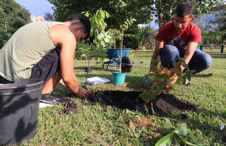 Projeto Árvore FamiliAR incentiva suzanenses