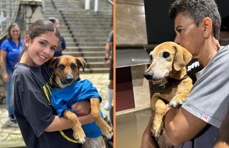 Zoonoses de Itaquá resgata 55 animais das enchentes