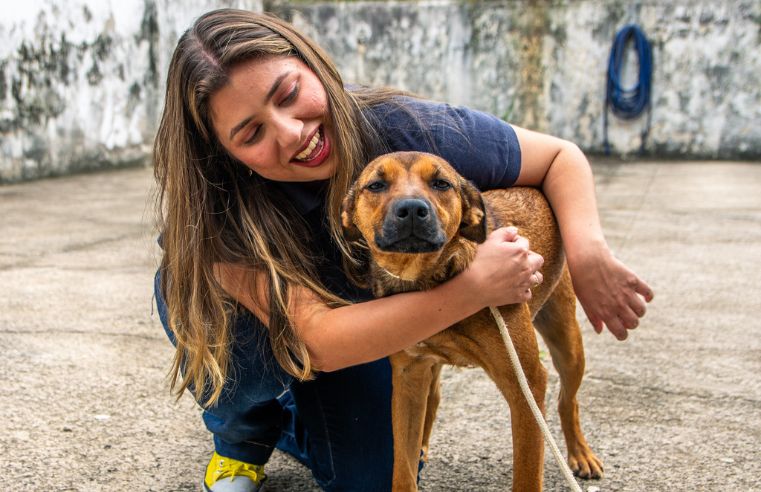 Castração gratuita para cães e gatos é opção em Guararema
