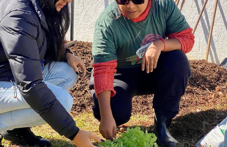Jardins Comestíveis abre oficinas gratuitas em Itaquá no mês de julho