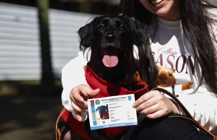 Cadastro animal facilita cuidados a pets em Santo André