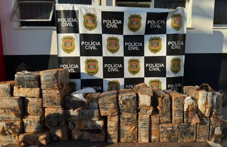 Polícia acha quase uma tonelada de maconha em poço em Atibaia