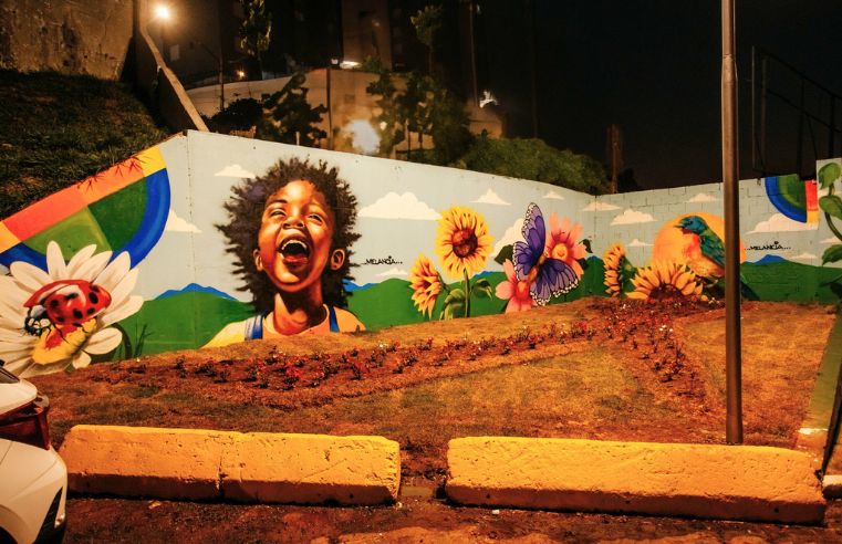 Arte urbana transforma áreas públicas em São Bernardo