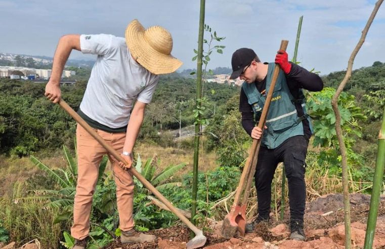 Plantio de árvores em Poá compensa danos causados por ocupação ilegal