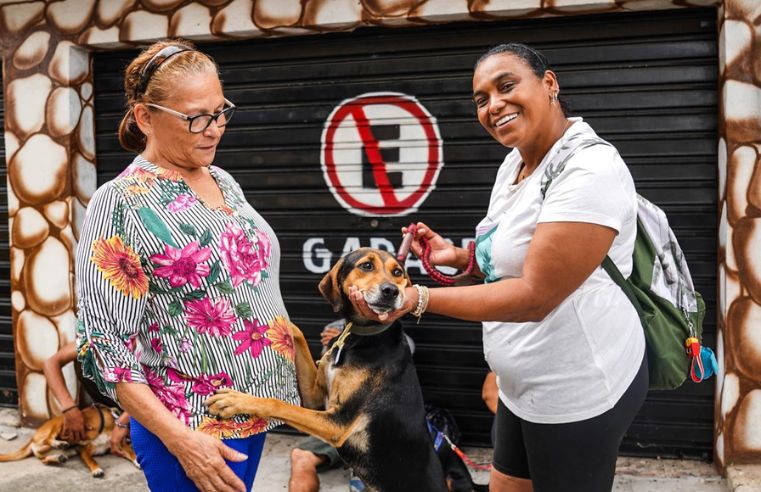 Castração gratuita em Ferraz abre inscrições nesta quarta-feira