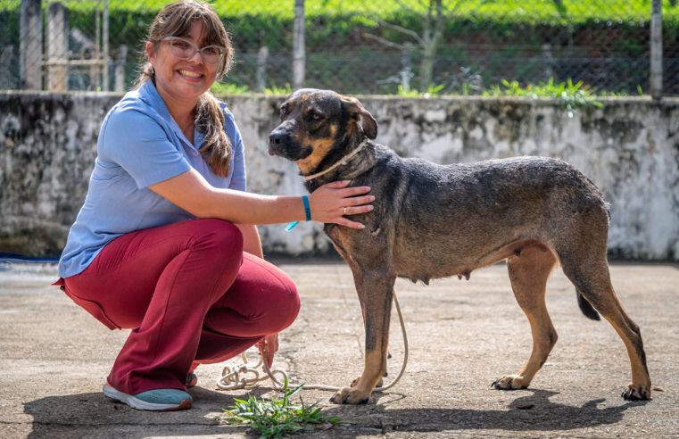 Cuidados com os pets exigem atenção especial durante o inverno
