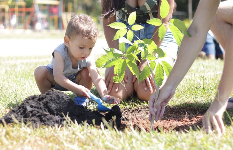 Projeto Árvore FamiliAR promove plantio coletivo no Max Feffer