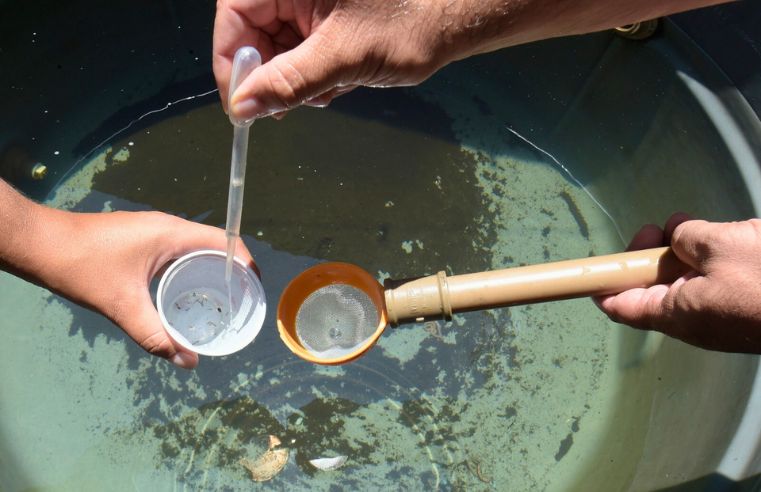 Ações contra a dengue atendem 35 bairros de Guarulhos