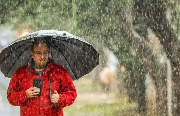 Primavera começa hoje e chega acompanhada de frente fria