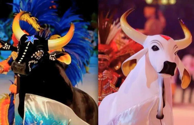 Festival Folclórico movimenta Arujá com música e tradições