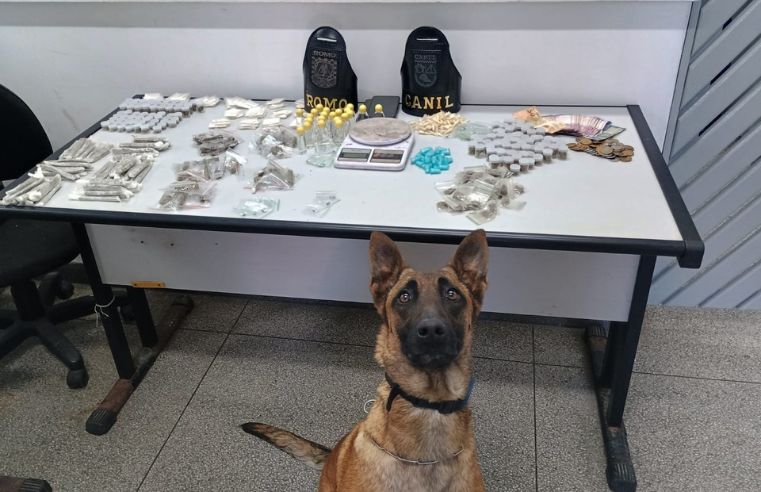 GCM apreende entorpecentes no Jardim Dona Benta e detém cinco suspeitos