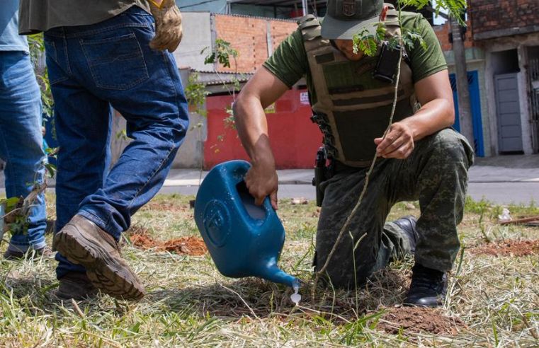Semana da Árvore em Itaquá promove plantio e ações ambientais educativas