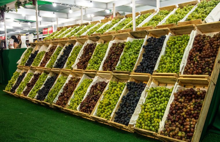 Vila da Uva atrai visitantes com doces e vinhos na Festa da Uva