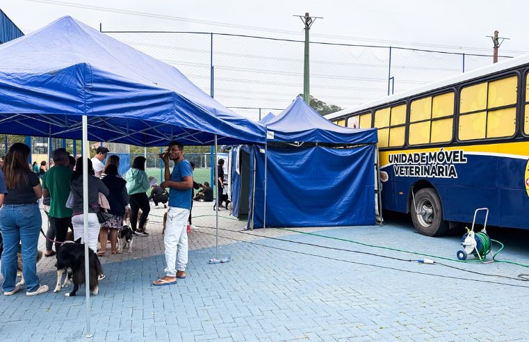 Mutirão de castração em Arujá oferece atendimento gratuito a pets