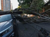 Comércio perde R$ 51,7 milhões após ventos fortes em SP