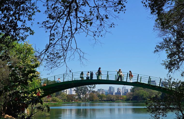 São Paulo: Parque Ibirapuera nota 9,1 em pesquisa