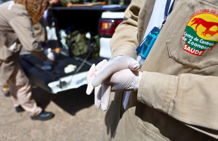 Guarulhos registra queda de 93% nos casos de dengue em 2025