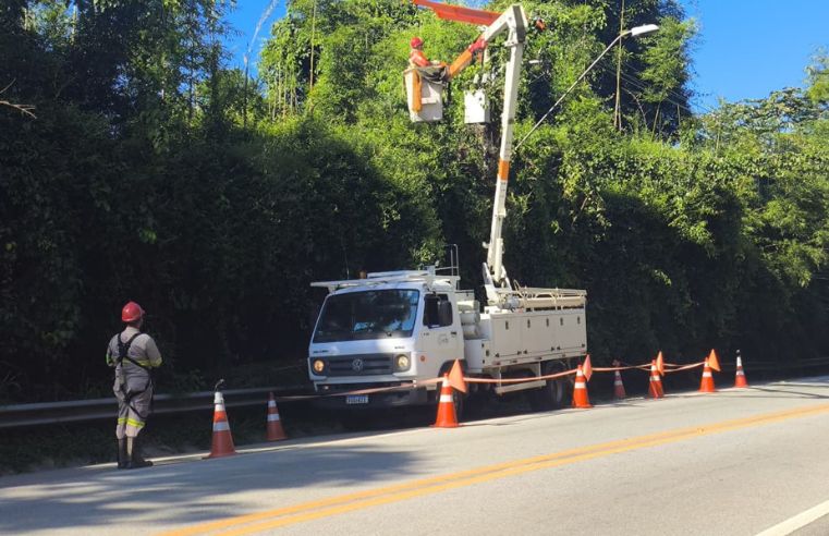 Guararema tem ações de poda e modernização da rede elétrica