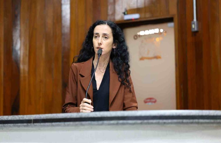 Câmara de Mogi aprova semana de conscientização sobre lyme