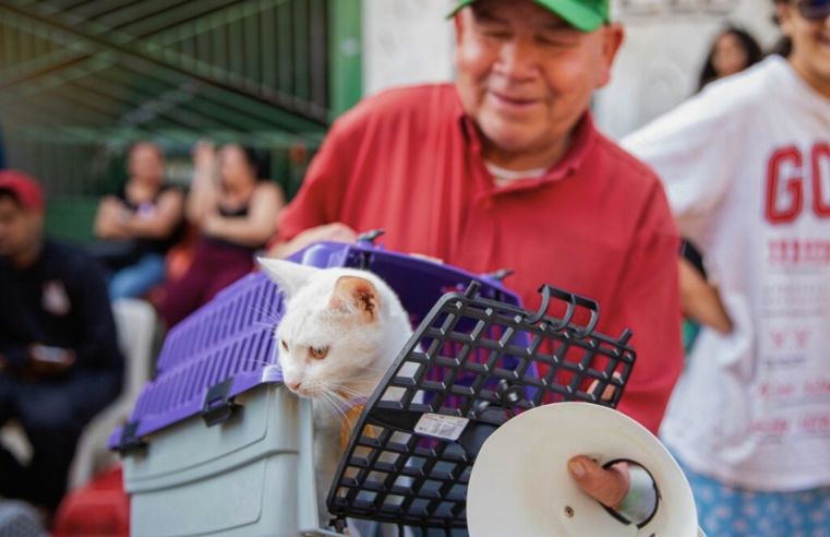 Castração gratuita atenderá 600 animais em Ferraz