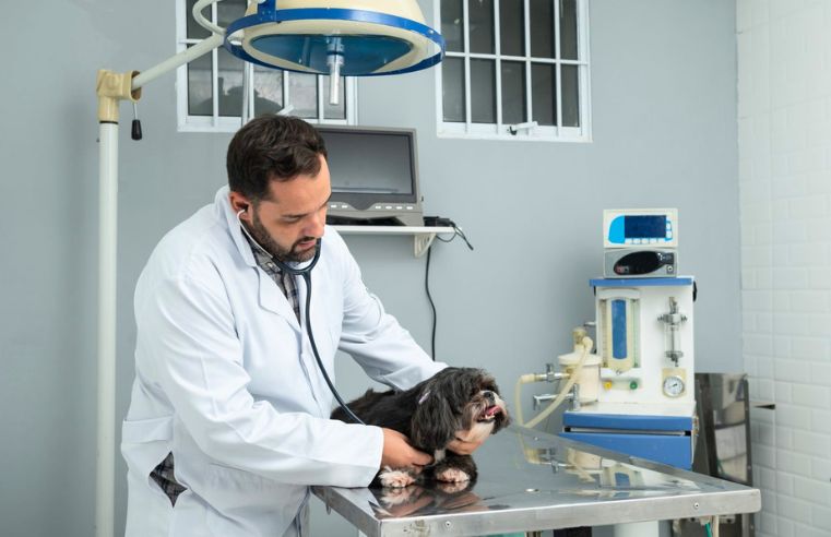 Poá realiza mutirão de castração gratuita de pets