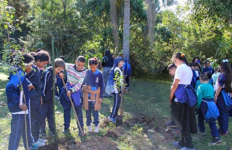Poá debate arborização urbana em audiência pública