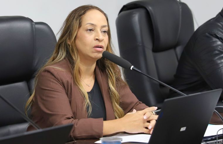 Arujá cria regras para circulação de cães em vias públicas