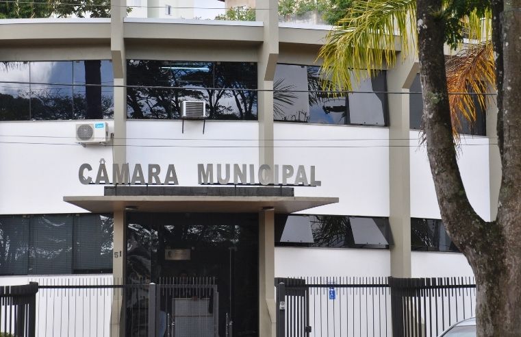 Maternidade atípica será tema de encontro na Câmara de Arujá