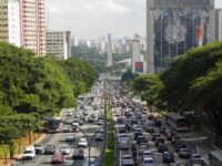 Avenida 23 de Maio ganha bosque urbano com quase 700 árvores