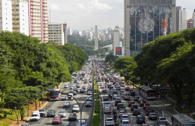 Avenida 23 de Maio ganha bosque urbano com quase 700 árvores