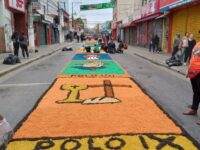 Corpus Christi mobiliza 2 mil voluntários em Santa Isabel