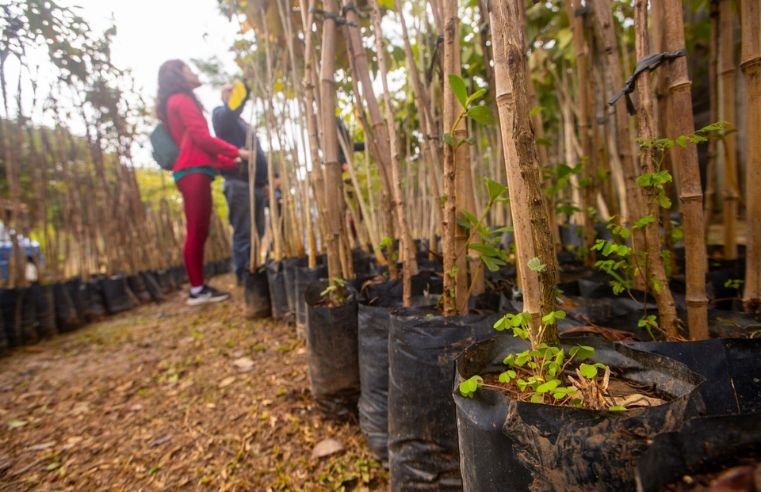 Guararema amplia ações de sustentabilidade com o Junho Verde