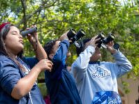 Mogi promove atividades gratuitas do Junho EcoSustentável