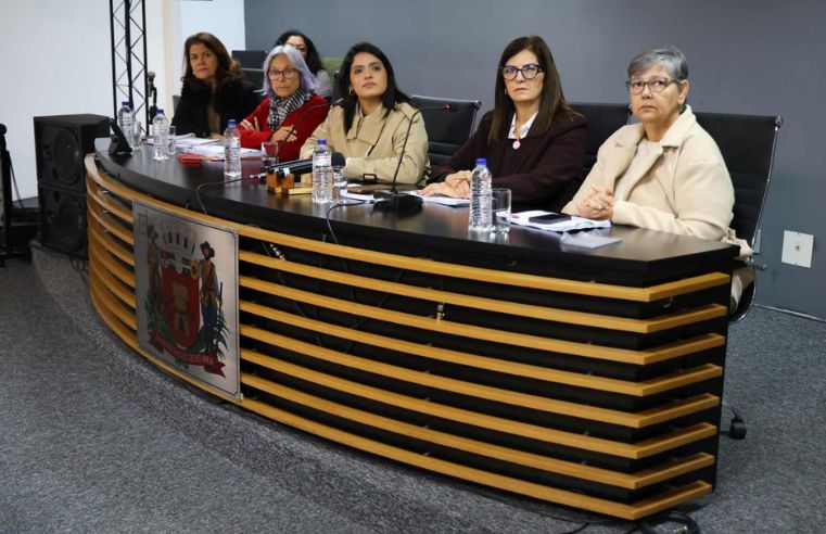 Audiência na Câmara discute orçamento e rede escolar