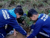 Sustentabilidade marca encerramento do Junho Verde em Poá