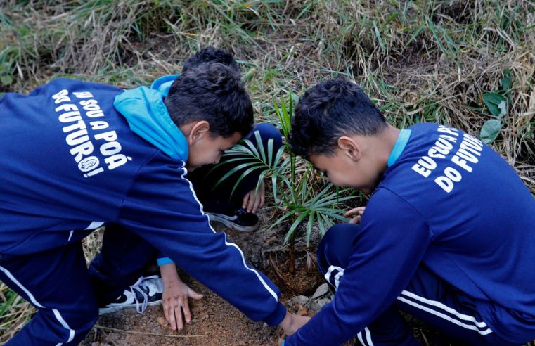 Sustentabilidade marca encerramento do Junho Verde em Poá