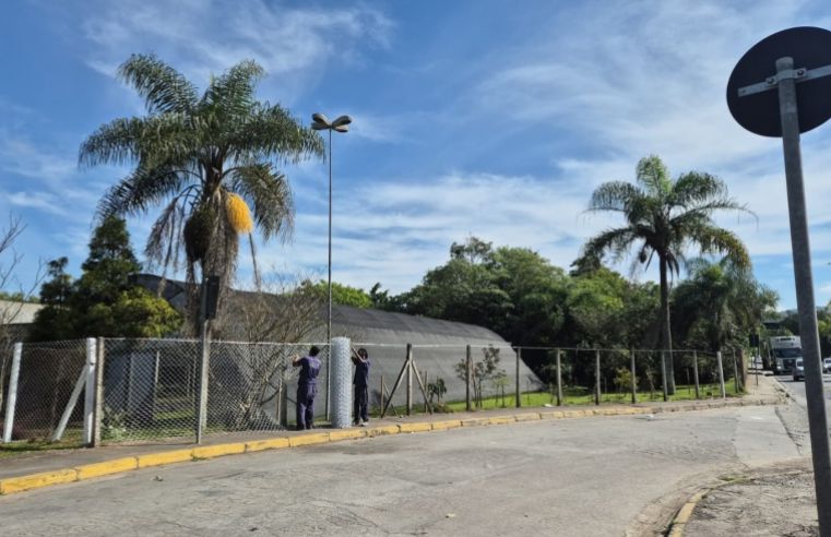 Viveiro Municipal de Mogi passa por reforma e ampliação