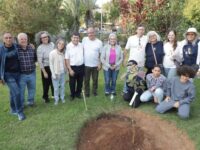 Ipê Branco simboliza celebração da paz na Câmara de Mogi