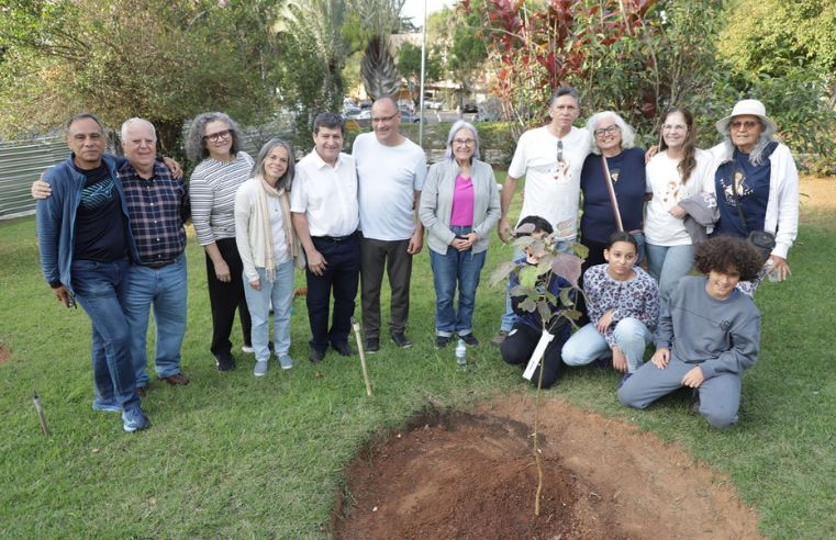 Ipê Branco simboliza celebração da paz na Câmara de Mogi